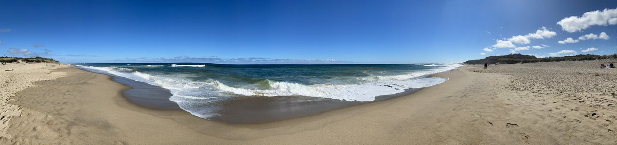 Retire in Paradise: Embrace the Beauty of Coastal North Carolina's Oak B... youtube.com/shorts/B08cDra… via <a href="/YouTube/">YouTube</a>