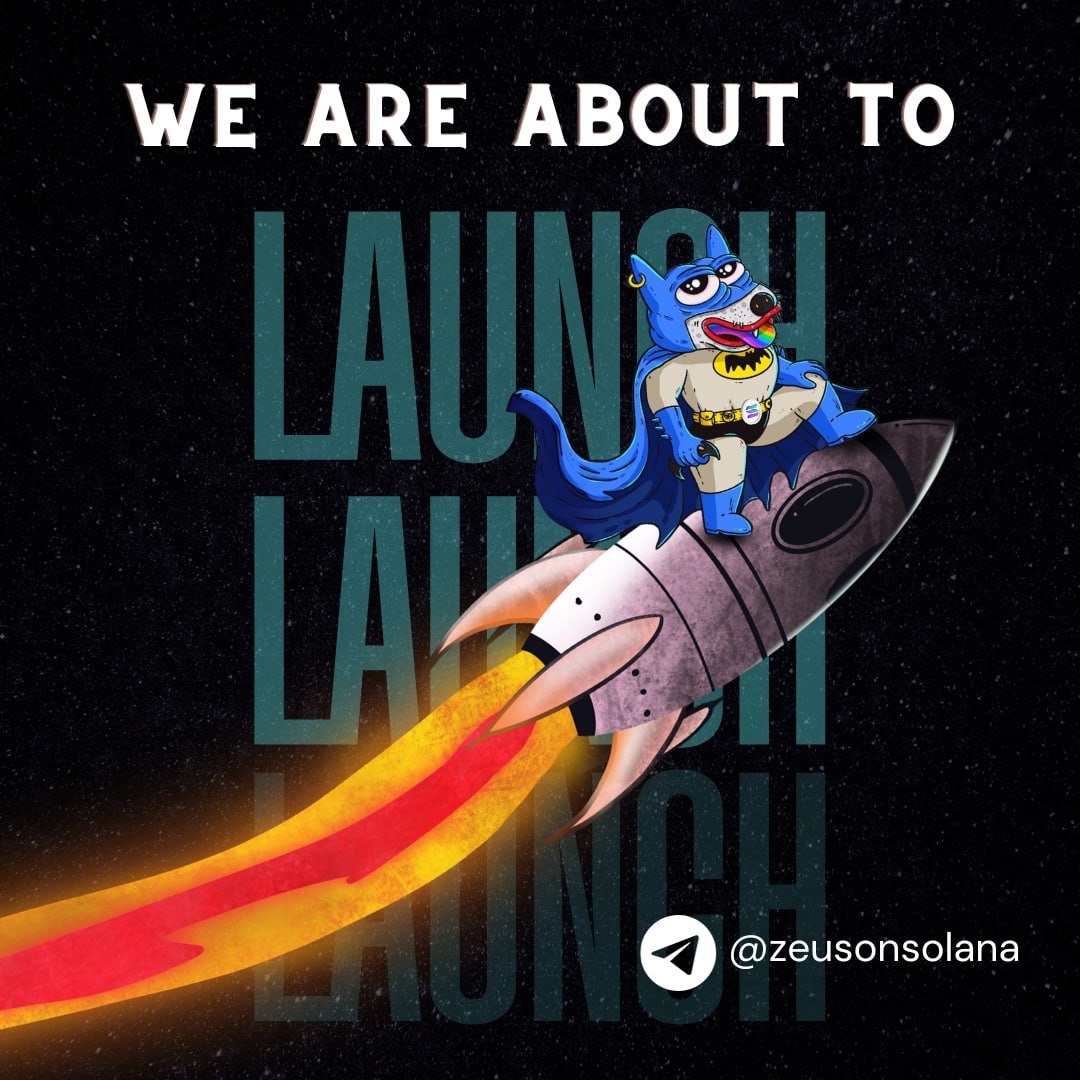 Zeus on SOL tweet media