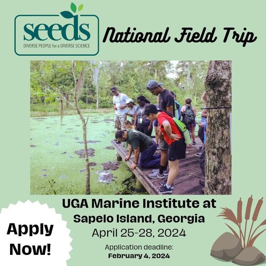 New Henry L. Gholz @EsaSeeds National Field Trip! We are seeking #undergraduates with a strong passion for #ecology for a funded and guided #research experience at the UGA Institute at Sapelo Island, Georgia from April 25-28, 2024! Apply: esa.org/seeds/field-tr…
