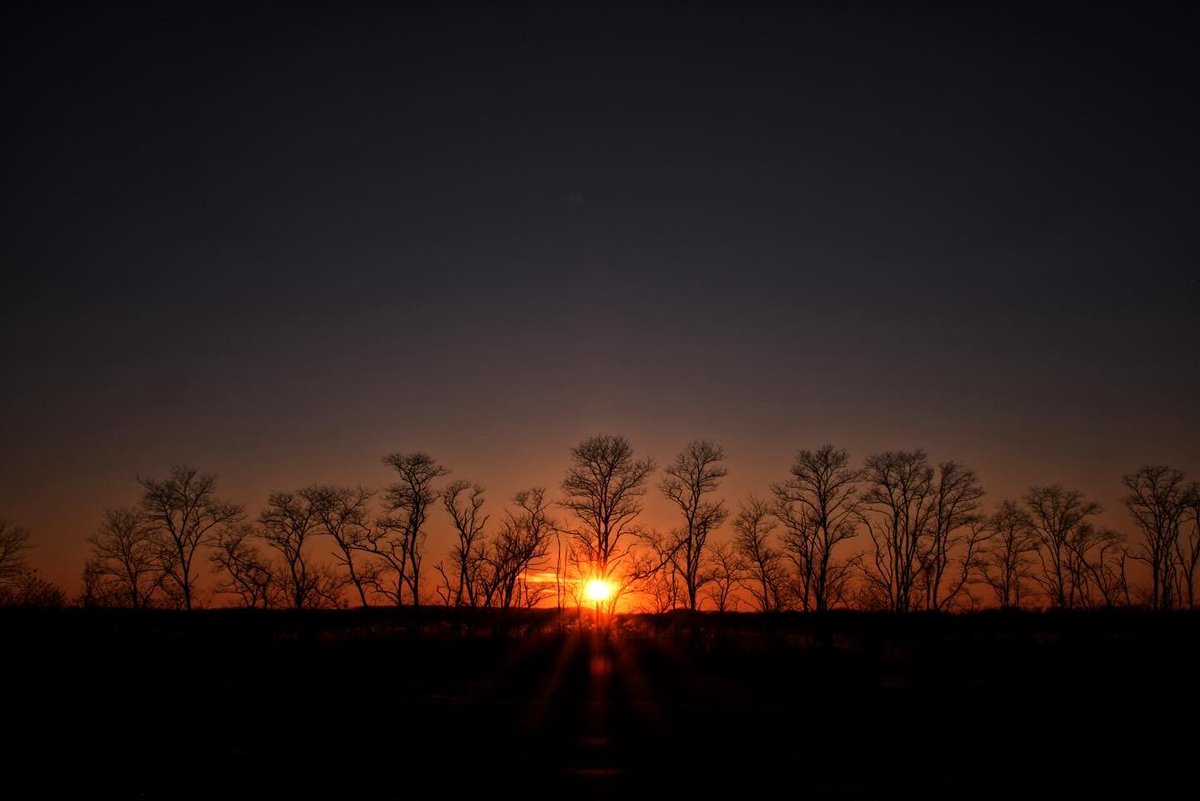 Visit_NJ's tweet photo. Winter skies in New Jersey >
๐ธ: IG pixel_plus_photos
#VisitNJ #WinterSunset #NJSunset #NewJersey https://t.co/aIWktZRc6m