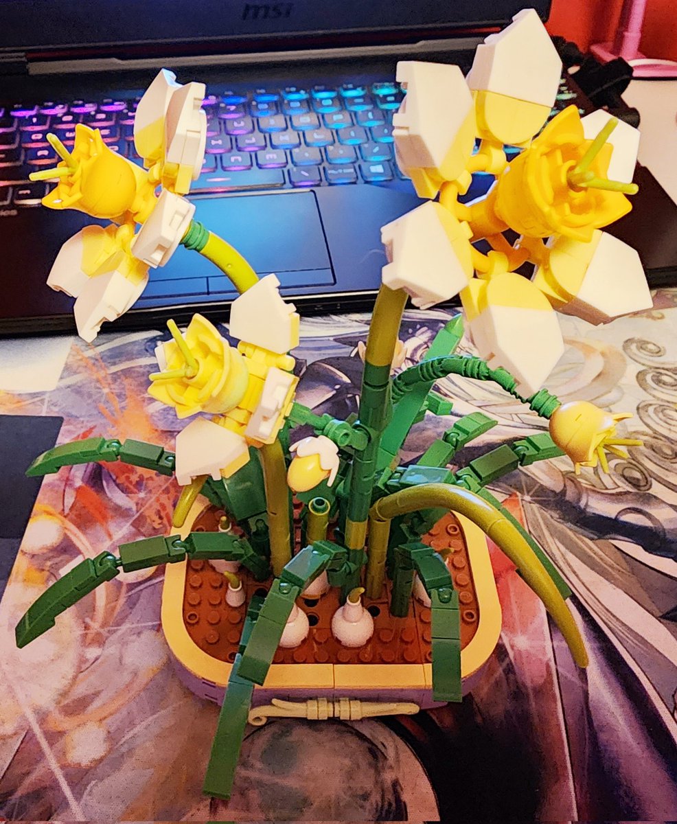 I got you guys some flowers!!
I gave one of them to someone. I hope y'all don't mind 😘