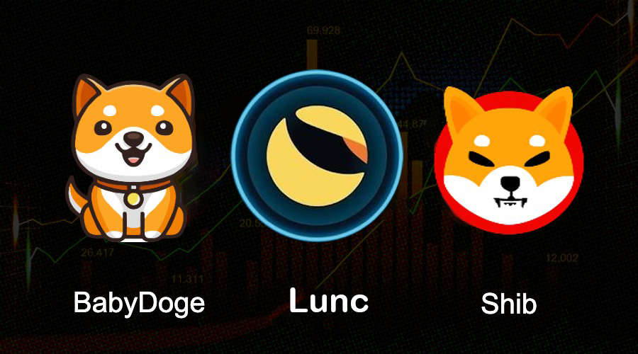 CryptoFeed_'s tweet photo. If you had to HODL only one crypto for 2024, what would it be? 🤔

$SHIB OR #LUNC OR #BABYDOGE ???

🔄#LUNC 
❤️ #Babydoge 
🗨#SHIB 

🔄Rt & Follow @BSC_FEED  #BSCFEED 

#bullrun #Altcoin #LUNC  Spot Bitcoin ETF $BTC ETF Pump  #Blackrock Alts $SHIB #BSCFEED