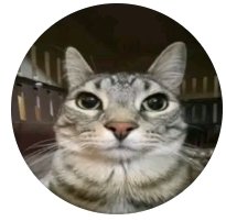 Emil_croat tweet media