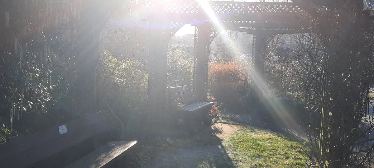 Despite the chilly weather, the community garden at Ainsdale Village Church is still giving a lovely winter display.