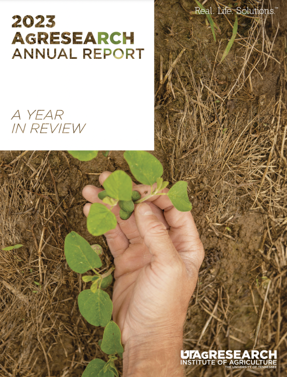 2023 was a record year for UT AgResearch with an impressive 228% increase in competitive funding obtained by our outstanding faculty compared to 2022. Read about about some of the great work accomplished last year in the 2023 AgResearch Annual Report: bit.ly/3RS9OMj