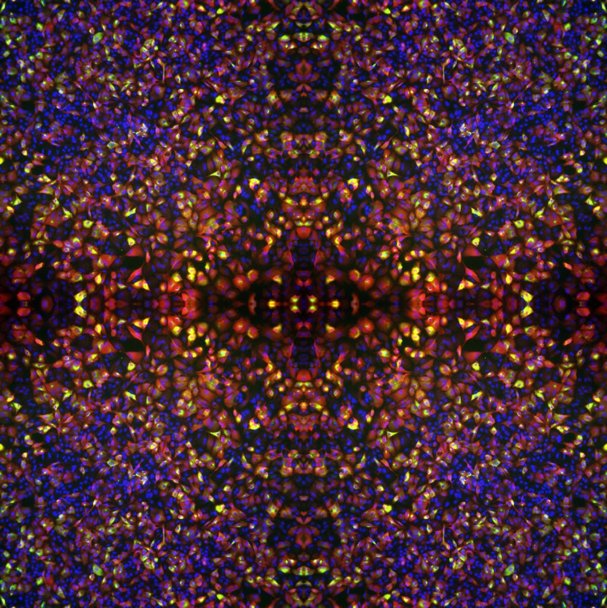 AQ: Australian Quarterly | @aqjournal.bsky.social tweet media