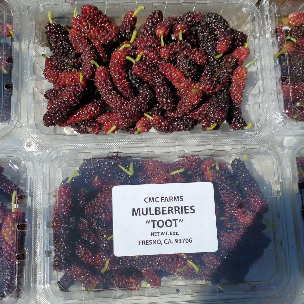 CMCFarms's tweet photo. Depending in the weather we are about 100 days away from our our favorite season. #sourplums #sourgreenplums #jenerik #shlor #gojehsabz #mulberries #toot https://t.co/6LSUGUOhCn