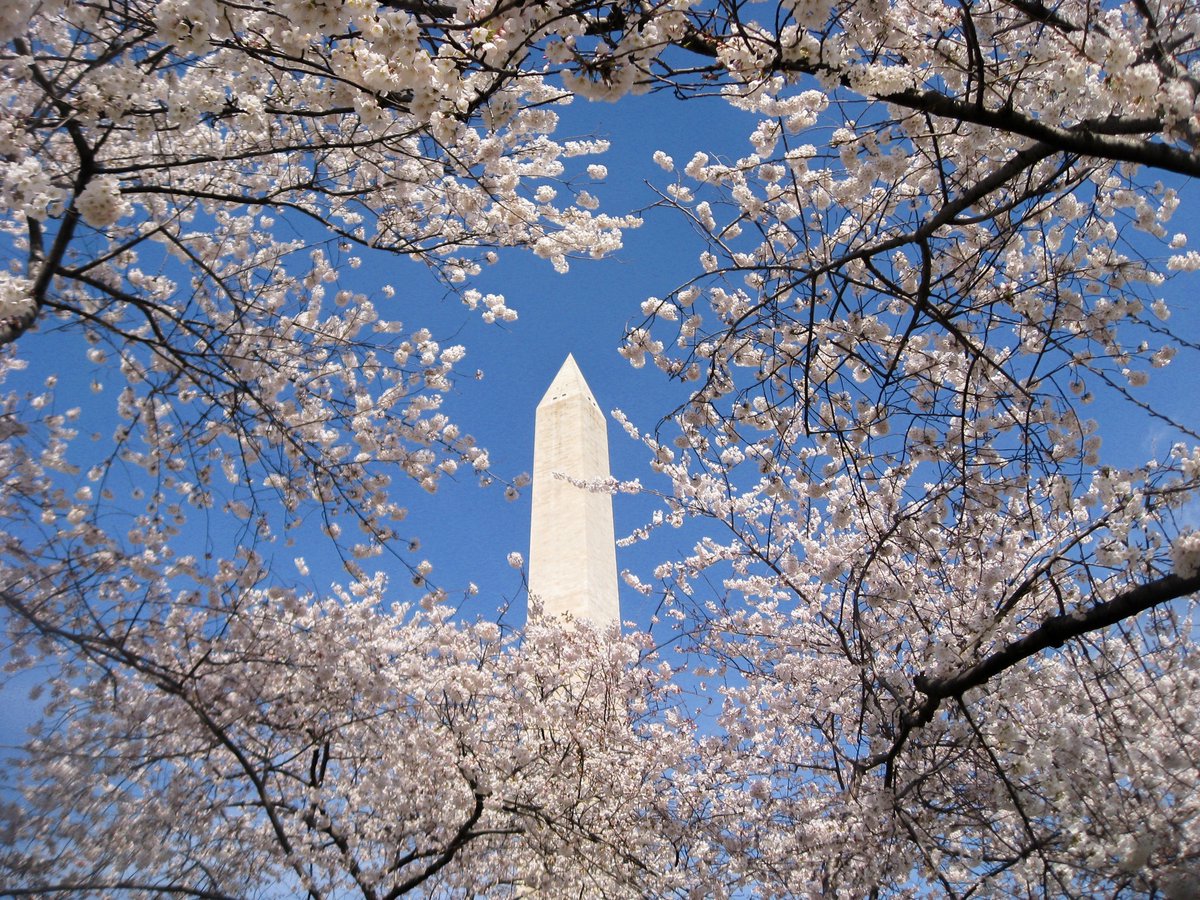 The Society of Government Economists Annual Conference will be held April 5th at American University.  All are welcome!

Submissions due Friday: sge-econ.org/sge-2024-annua…