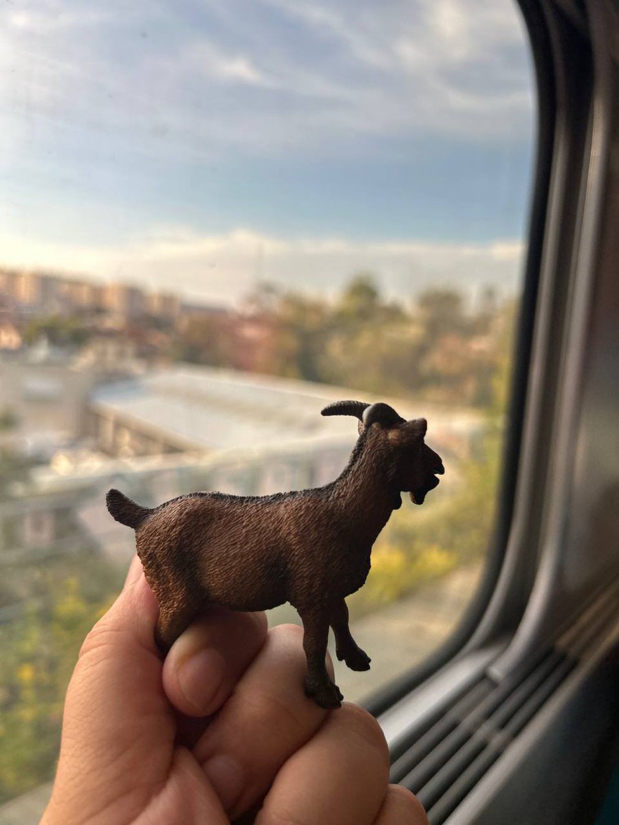 avocate3afraise's tweet photo. The GOAT is in London right now https://t.co/YIdJZjGXN5