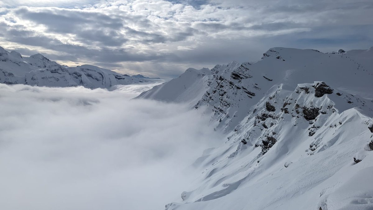 Nancy Kanwisher @NancyKanwisher@mas.to (@nancy_kanwisher) on Twitter photo Magnificent skiing above the clouds in the Alps today at the <a href="/ABIM_CH/">Alpine Brain Imaging Meeting</a> conference: Magnificent skiing above the clouds in the Alps today at the <a href="/ABIM_CH/">Alpine Brain Imaging Meeting</a> conference: