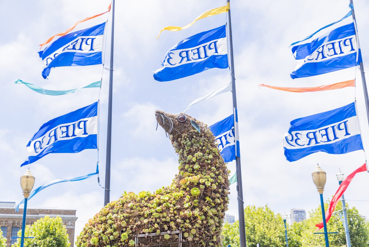 Ask one of our concierges how to get to Pier 39. If you don’t already have a favorite destination on the pier, they might have some suggestions. hil.tn/cpdfzd