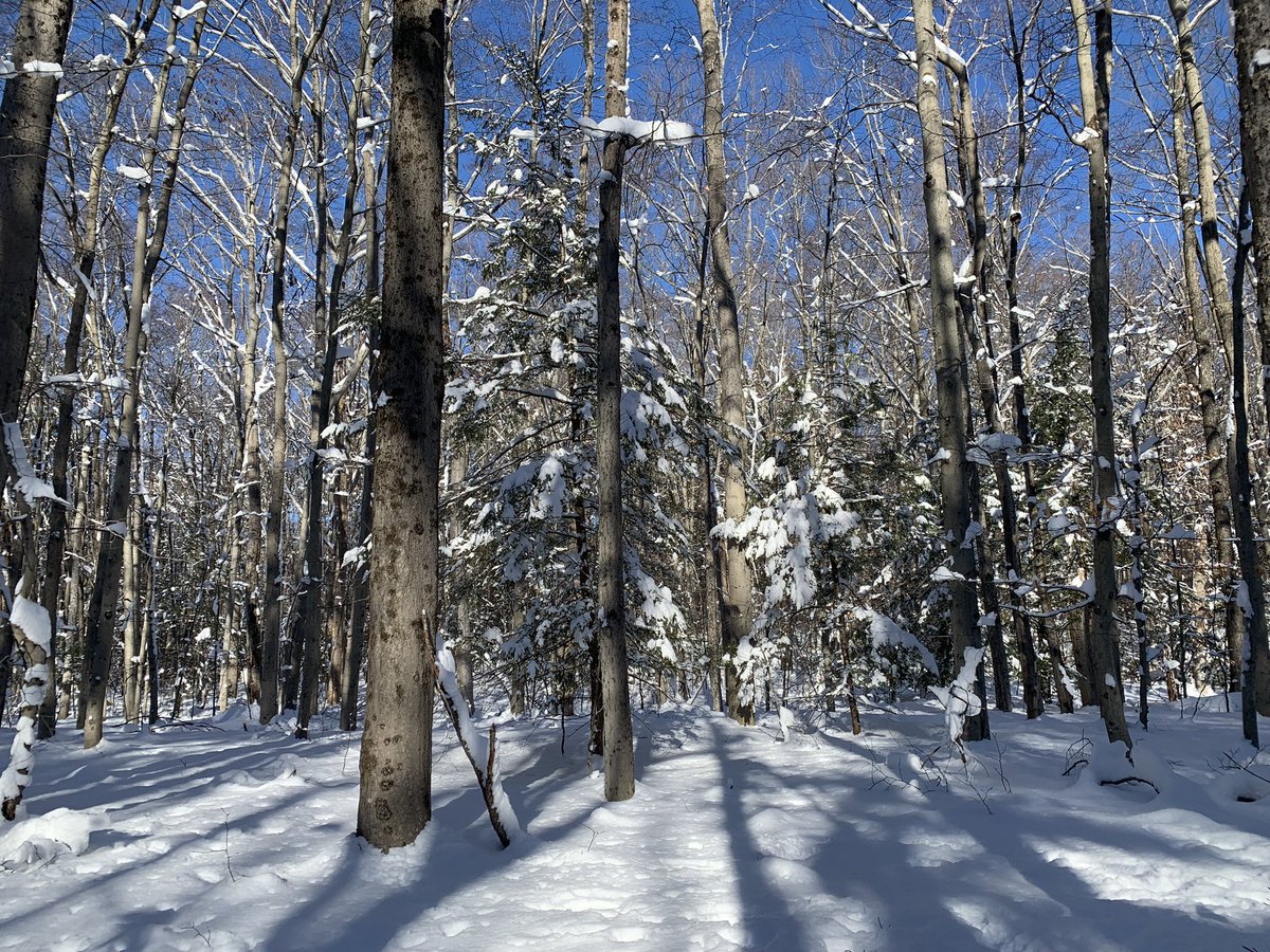 First good storm of the year❄️