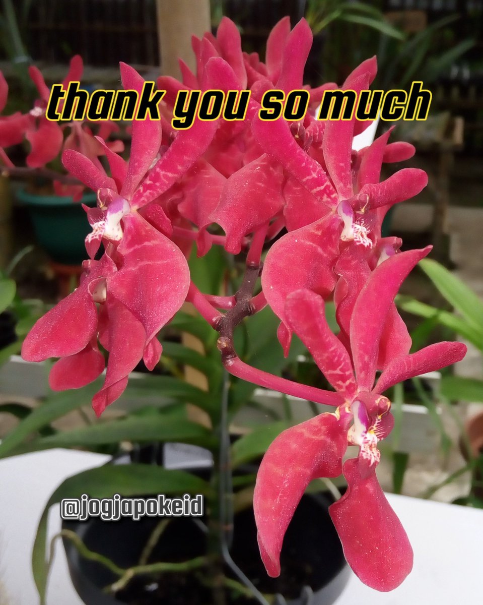 #TwFsClub
#F4F_Nusantara

thank you so much
⏩➽ <a href="/TwFsClub/">Founder of ☀️ #TwFsClub</a>

<a href="/nyagoroyorosik1/">nya-goro(ニャーゴロ)(=^x^=)/🇯🇵</a>
<a href="/jogjapokeid/">jogjapokeid</a>
<a href="/TwFsClub_Kings/">#TwFsClub_Kings</a>
<a href="/potepote12025/">ぽてうさ☆🍟🐰</a>
<a href="/RadjaRasta_/">яαԃ𝐣αяαѕтα</a>
<a href="/putrakibang7/">putra kibang 7</a>
<a href="/putri_adinda_/">Dinda</a>
@Q4uNoFace
<a href="/Qs3488/">Qamar Shahzad🦅</a>
@vojni8600
<a href="/vonzy1n/">vonzy</a>
<a href="/Vr1_Gim/">ڤاميت داوير</a>
<a href="/VZeynool/">Viona Zeynool</a>
<a href="/W_03_Wc/">شذى 👀</a>
<a href="/w3ewe/">🇮🇩 Debora Noviawati 🌹</a>
<a href="/w1nker/">Winzzz02</a>
<a href="/wa9works/">白石邦明@信頼関係</a>
@WaeSan158607
<a href="/wage8422/">Wage😎</a>