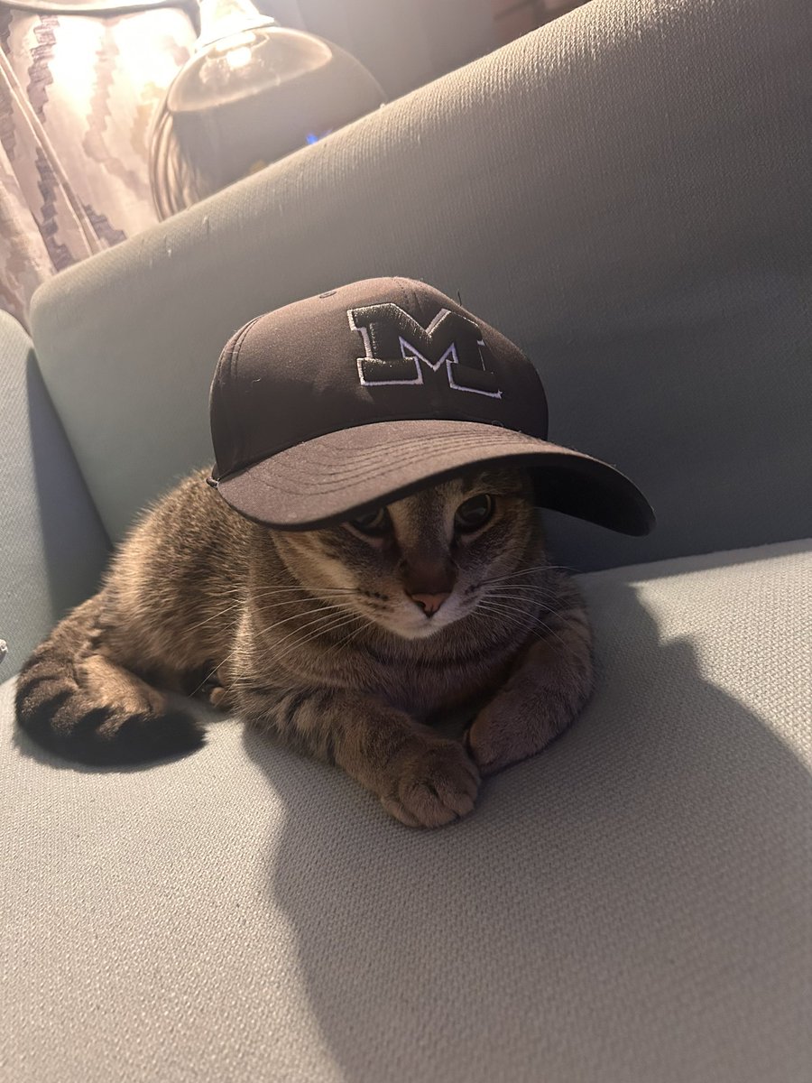 kthx1034's tweet photo. My little U of M fan #Michigan #UofM https://t.co/IpwruSUp5x