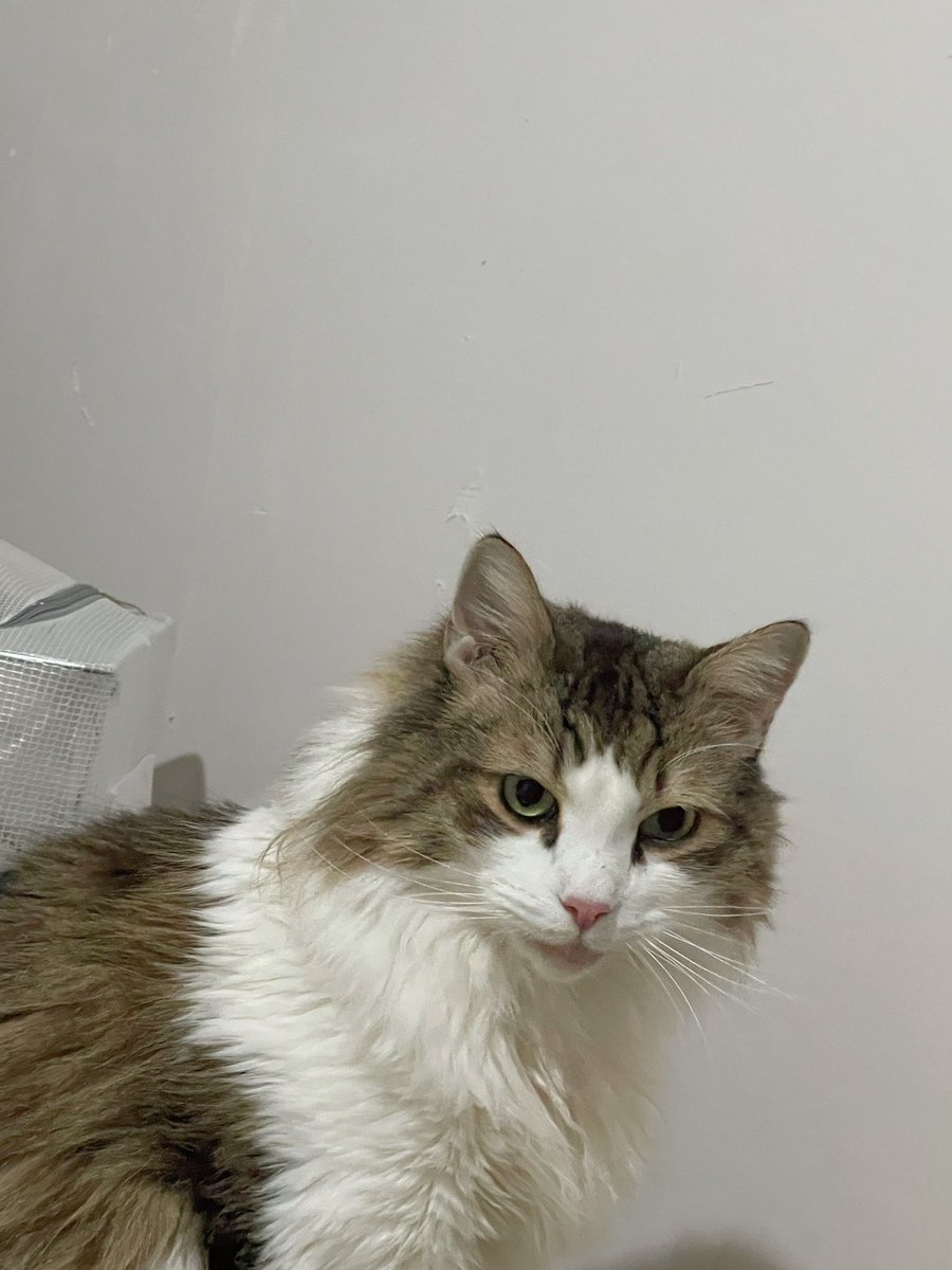 ガンか…厄介なとこでできてしまった…