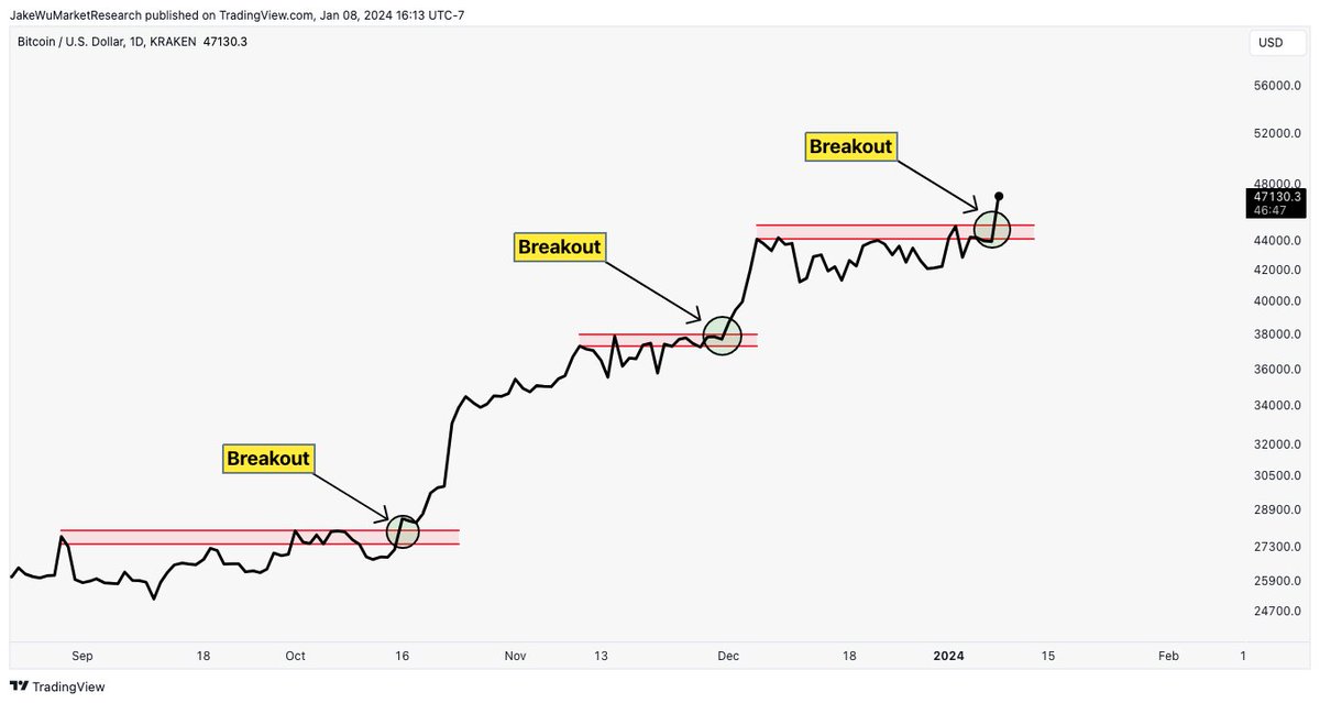Joe Public tweet media