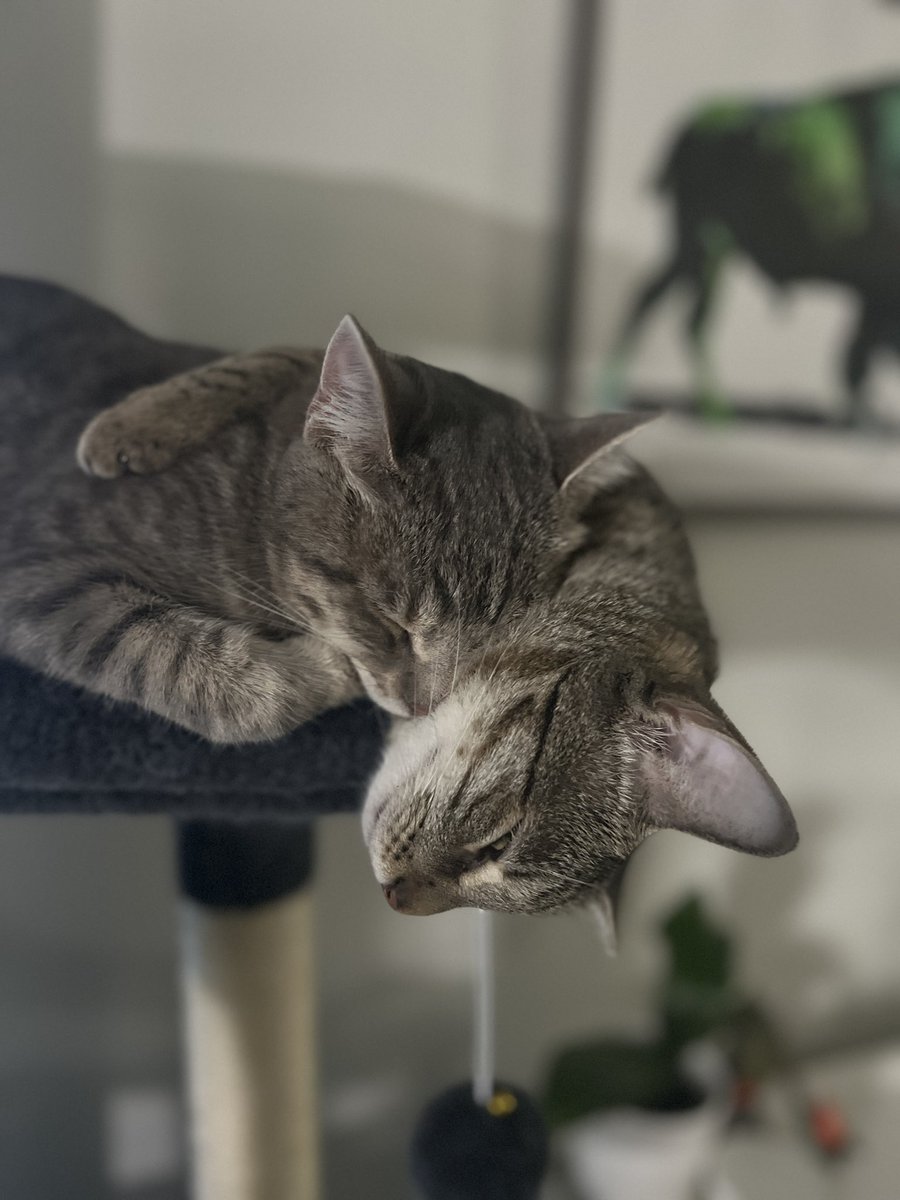 Chris Levine tweet media