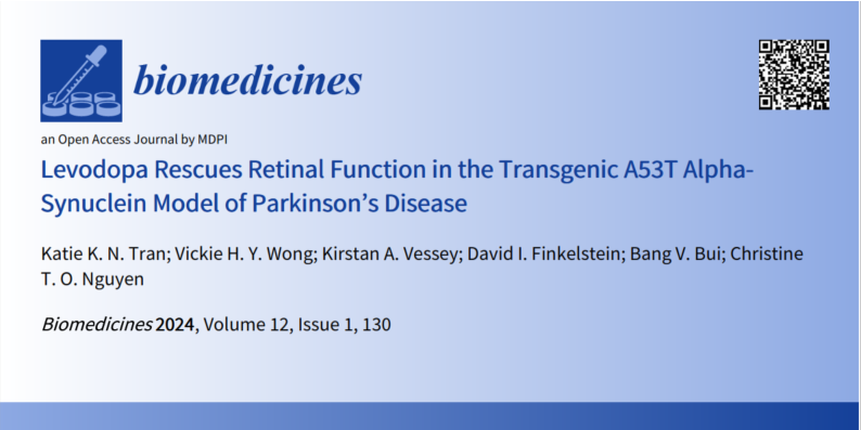 Dr_Chris_Nguyen's tweet photo. Great start to the new year @katietraan ! Congratulations on publishing your second PhD paper. A great example of how eye electrophysiology can be used as a dynamic drug biomarker 💊 👁 https://t.co/pFrKGUgEtE