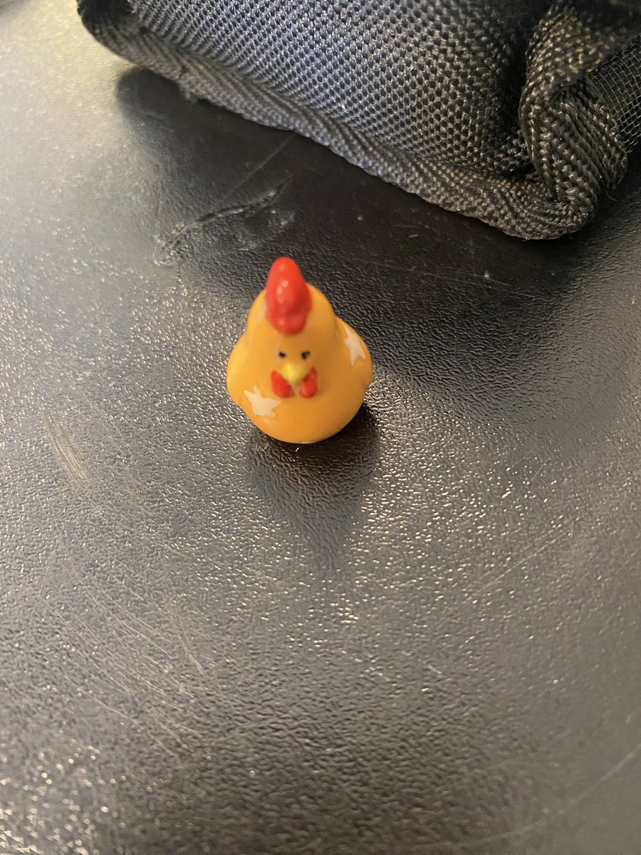 DlSCERPTOR's tweet photo. say hi to him, his name is eric https://t.co/s8EiofYRFx