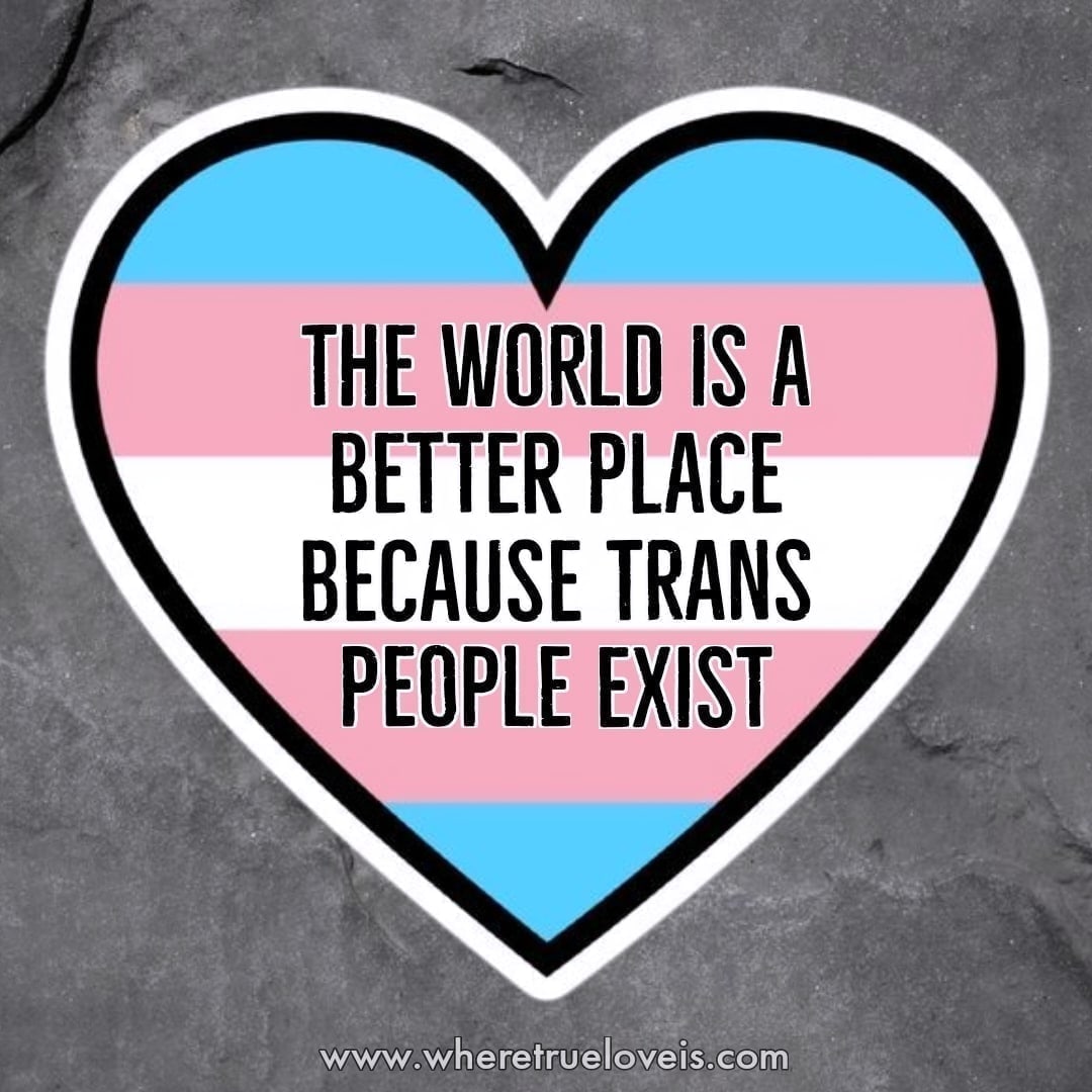 #Transgender #lgbtqia 🏳️‍⚧️🏳️‍⚧️🏳️‍⚧️🏳️‍⚧️🏳️‍⚧️🏳️‍⚧️🏳️‍⚧️🏳️‍⚧️🏳️‍⚧️ 🩷🩷🩷🤍🤍🤍🩵🩵🩵 #TransRightsAreHumanRights