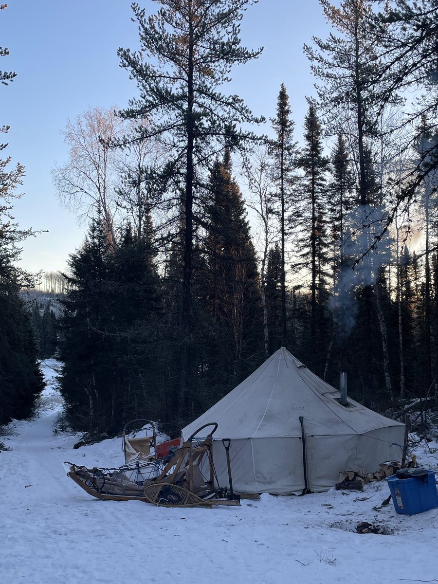 Clémence Fontanive tweet media