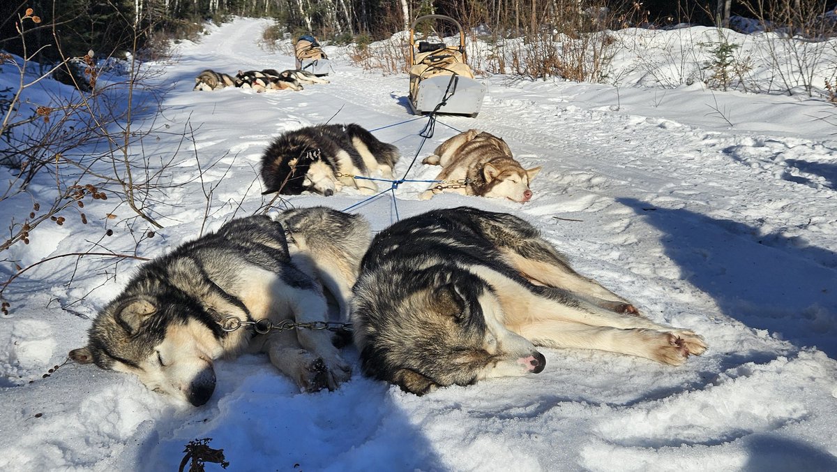 Clémence Fontanive tweet media