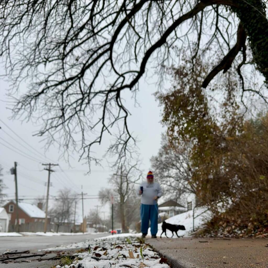 wooferSTL's tweet photo. Saturday was #babysfirstsnow. went over to the dog park but by the time we got there it has all melted and turned to rain. ¯\_(ツ)_/¯ https://t.co/08XzOv9Cfe