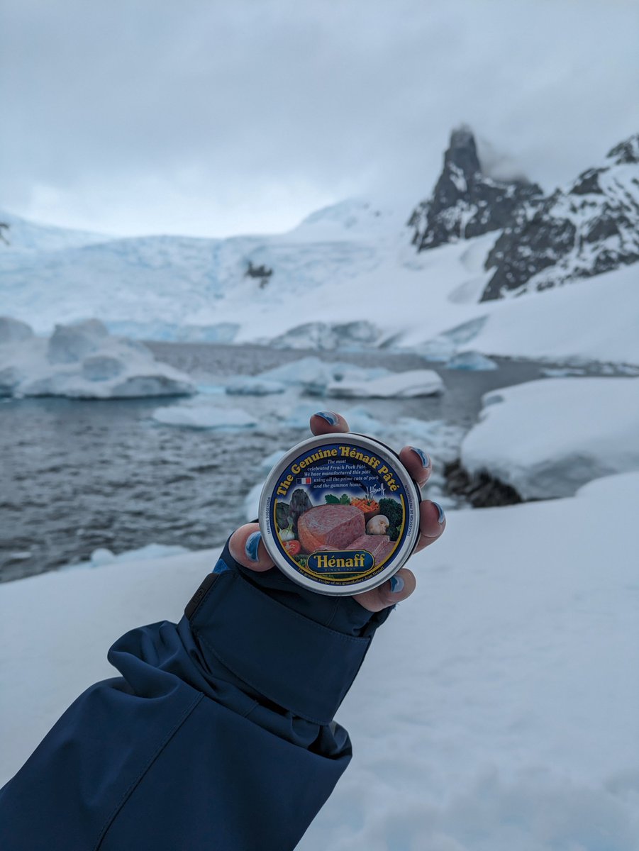 Dr Christelle Auguste tweet media