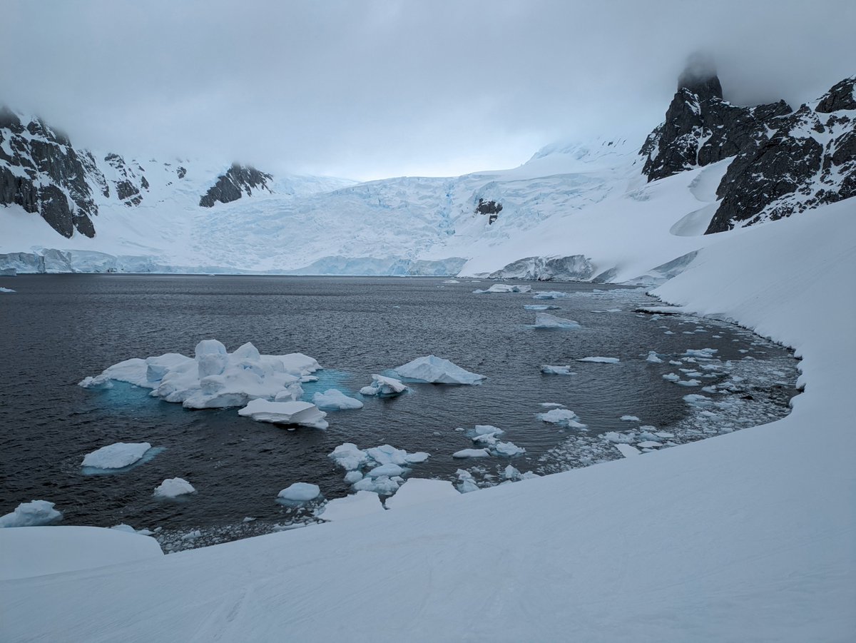 Dr Christelle Auguste tweet media