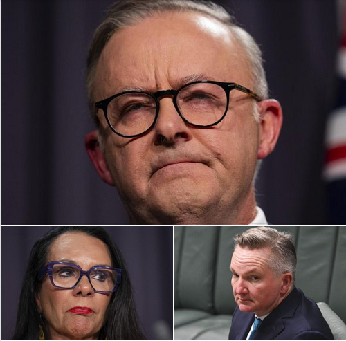 Arrogant Albo is either weak or in denial
Andrew Bolt Herald Sun January 7, 2024 

It’s been an amazing decline for the Albanese government, which seems distracted, unfocused and out of ideas. Anthony Albanese seems too arrogant to realise he’s in trouble. Why didn’t he use these