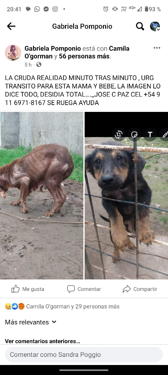 patripeyrou's tweet photo. Urgente https://t.co/O0W7rDEkmY