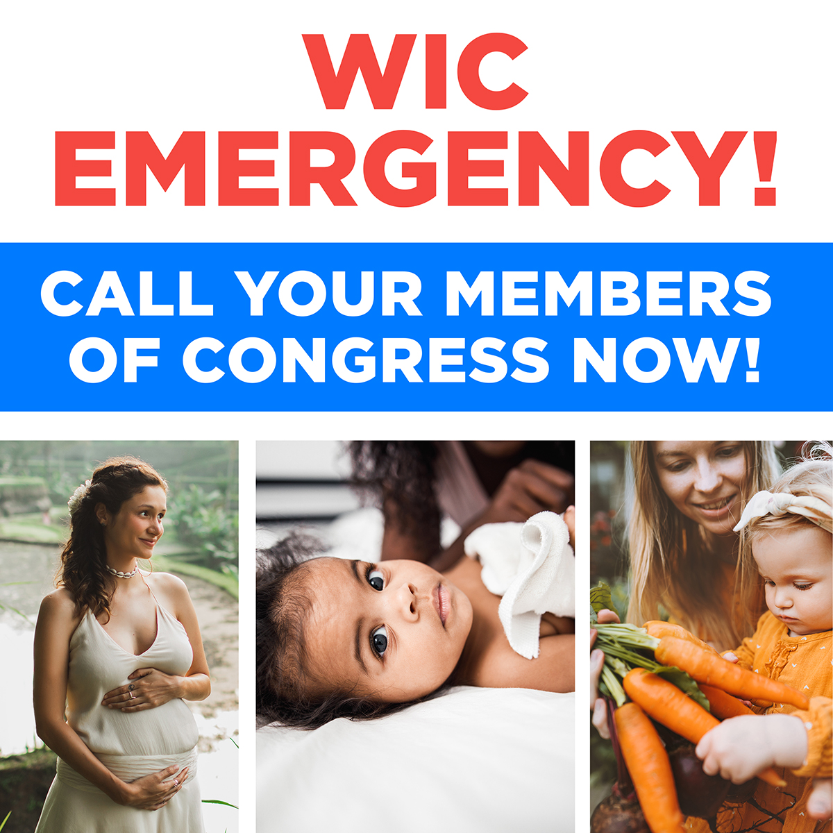 SDHungerCo's tweet image. Take action to make sure that WIC receives the funding it needs to continue fostering healthy families by January 19th! 

Call-In Line for January 10th by visiting the following website:
actionnetwork.org/call_campaigns… 
OR 
text FundWIC to 888-418-5699
#FundWIC #WIC #HungerFreeSD