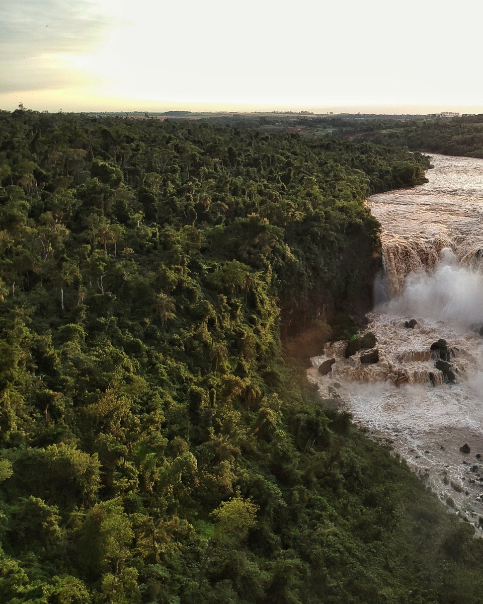 panoramaglobal2's tweet photo. Os #SaltosdelMonday são uma sequência de 3 quedas d'água principais e outras menores, localizadas no distrito de #PresidenteFranco, no #Paraguai, os saltos possuem até 45 metros de altura e 390 metros de largura, são a principal atração do #ParqueMunicipalMonday.#rio #salto #nice https://t.co/QOVbfSwy4O