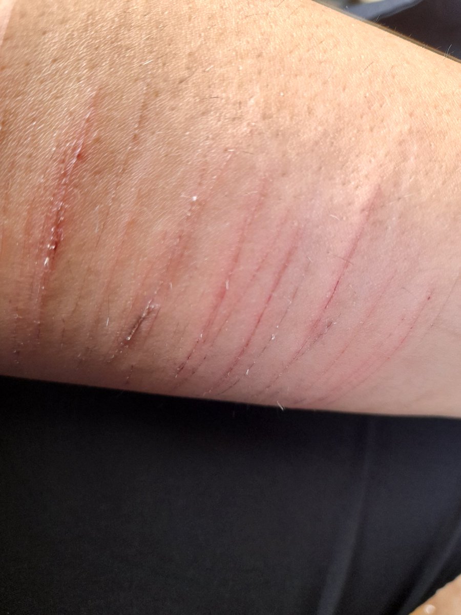 Más Cortes de mrd, no tengo ovarios