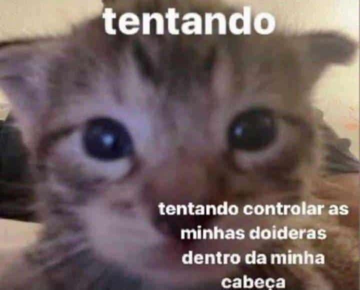 crtierr's tweet photo. faz tempo que eu não posto foto 😩 https://t.co/pk3AxMd2TM