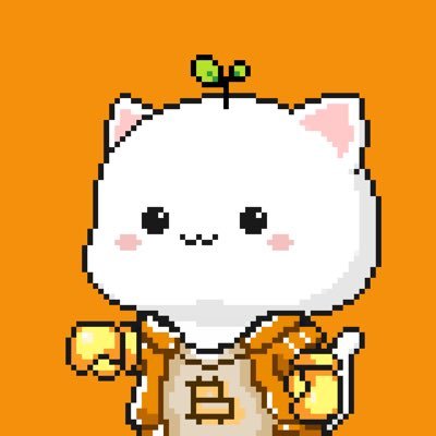 Bitcoin Cats tweet media