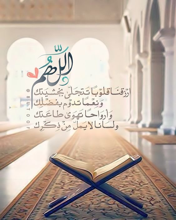 اللّهم ارزقنا قلوبًا تتجلى بـخشيتك 
ونعمًا تدوم بفضلك وأرواحًا تهوىَ 
طاعتك ولسانًا لا يملّ من ذكرك
الله يصبحكم على فضله.