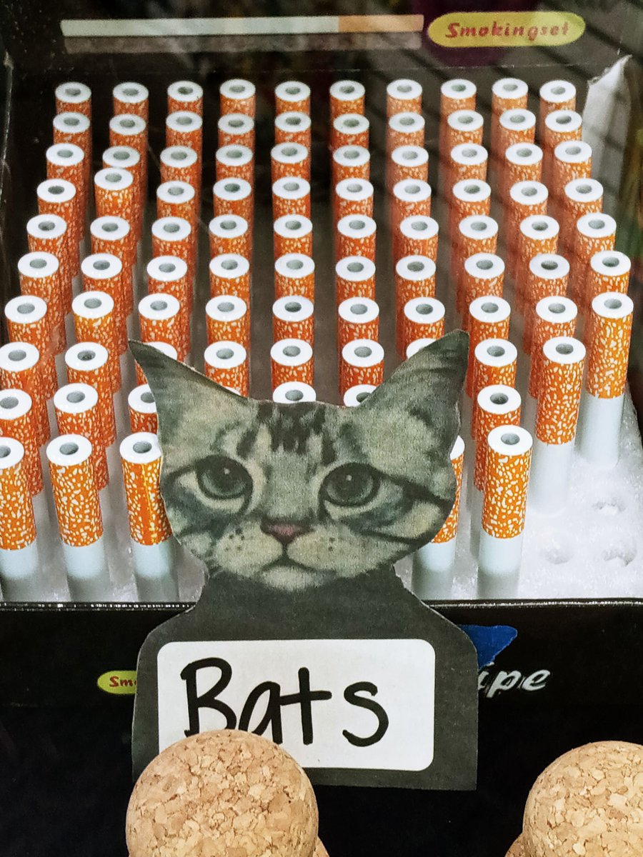 All of our locations have bats! Hell a couple of our locations have actual cats too! But if you are looking for chillums, one-hitters, or just a small pipe in general, come check us out!

#thegaspipe #dfw #smokeshop #funny #catoftheday