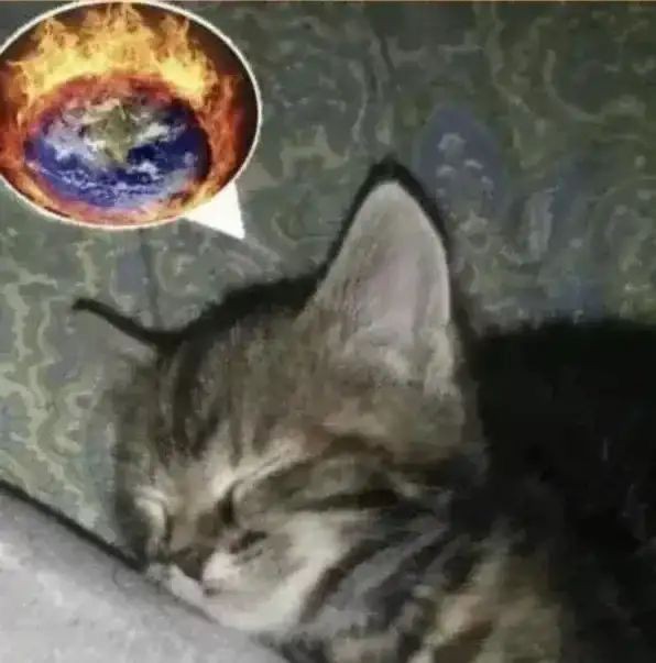 Moondrup_rol's tweet photo. @CalDurham553129 @CodyWilker13006 @earth2lunar @JoseLuisVillav1 @Sergii__s @JaredGBenn @fLoWerxcth @jeffnikula1 @sean1021023 @artikzahaaaaa @NellyFr003 @vkowrld @justabhii @TheNameIsTony_ @soyleomontero @wF9sowCVwlufROP @sailorD40 @Eyad_2a7med @kuADVZvgKJwWz8p @ChrisphineLewis De ptm XD https://t.co/ZoCztulgru