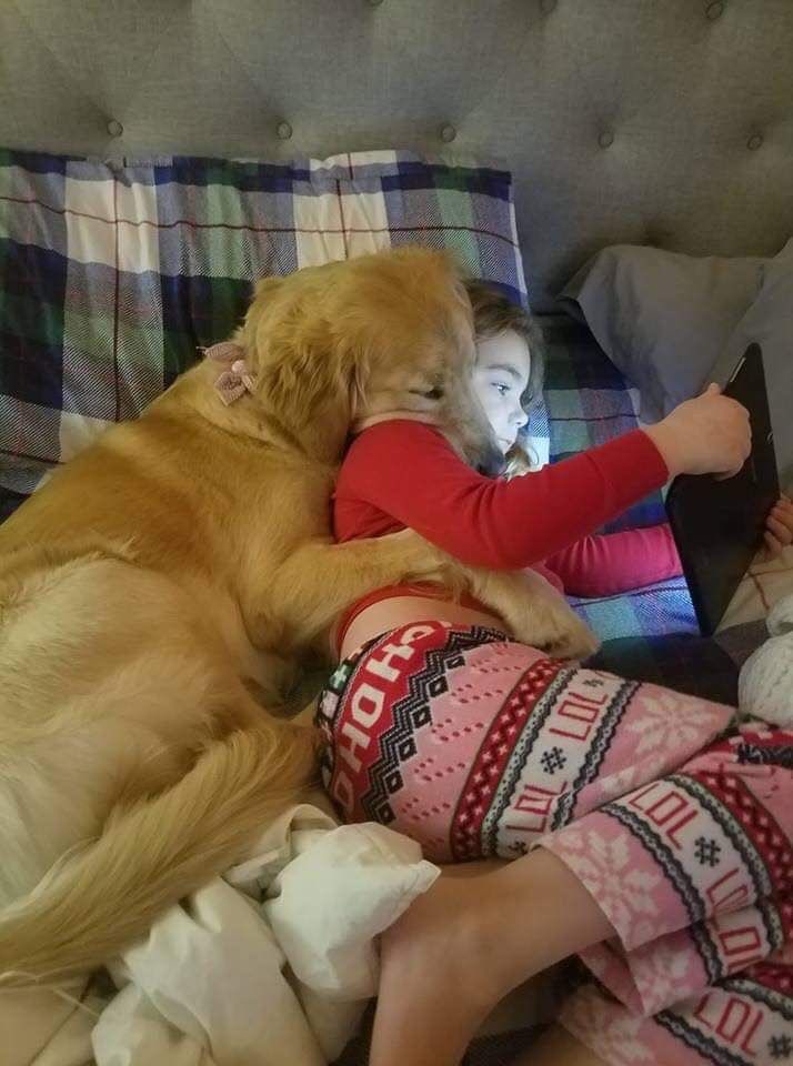 💖 (@twaniimals) on Twitter photo 