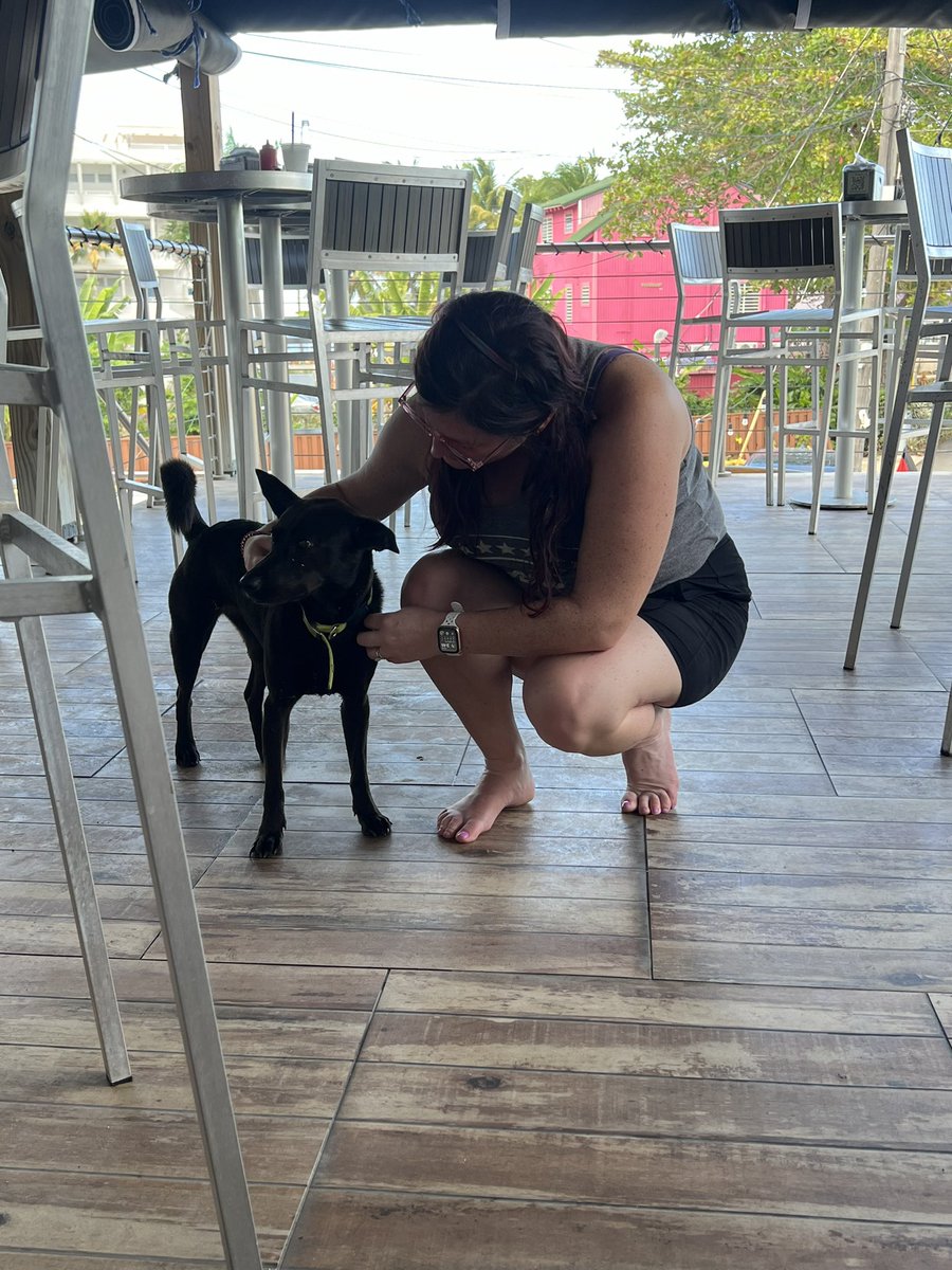 just a number tweet media