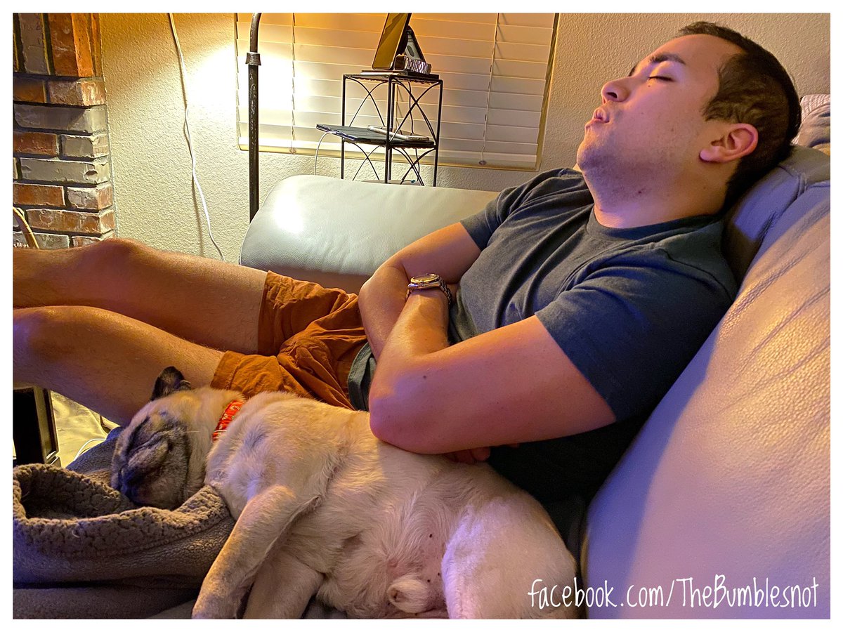 Not sure which one is snoring the loudest...
🐶👦🏻💤💙❤️🤷🏻‍♀️
#aboyandhisdog #perfectharmony #contentment #sleepypug #sweetdreams