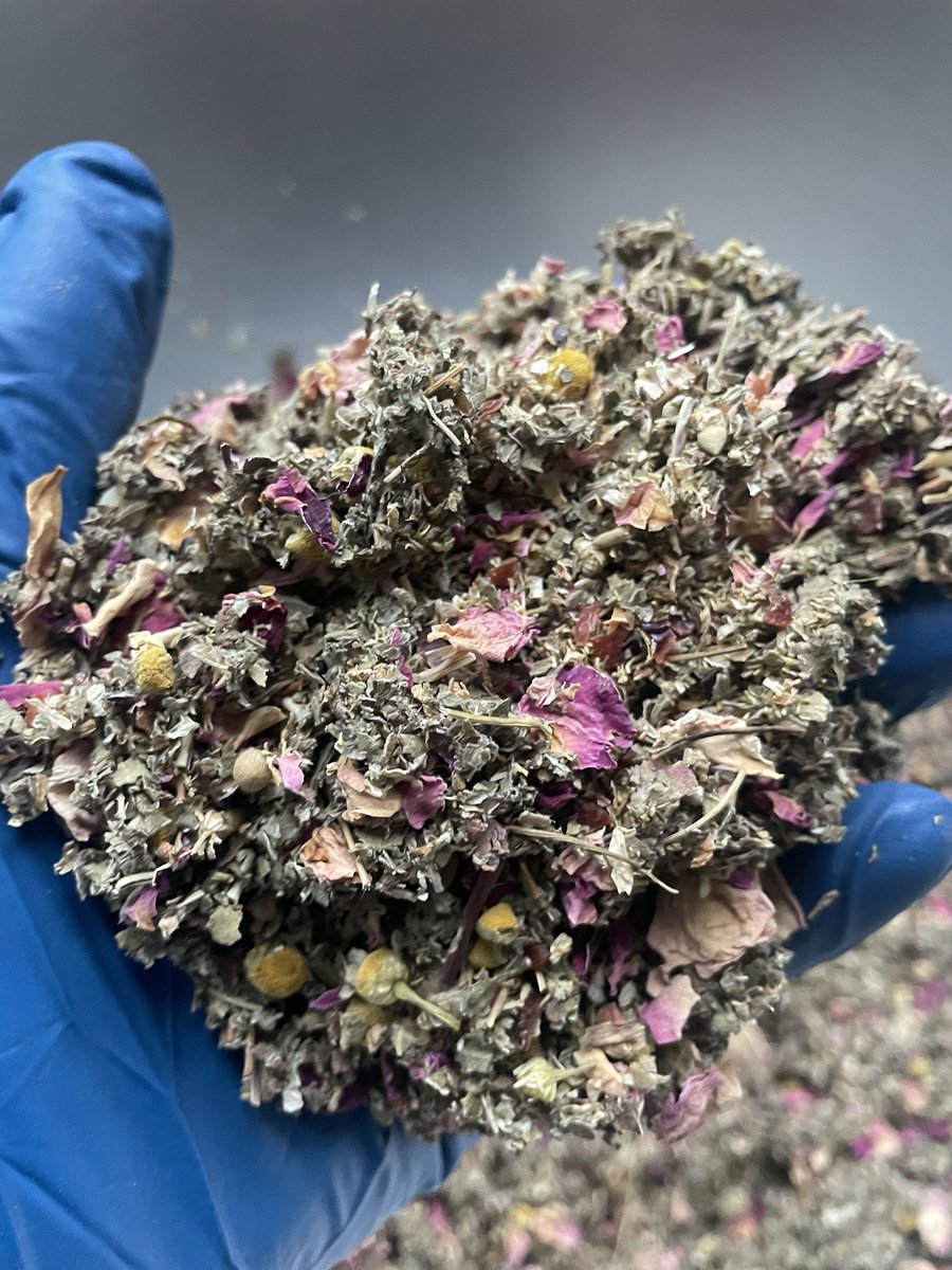 MICOPEIA BOTANICA tweet media