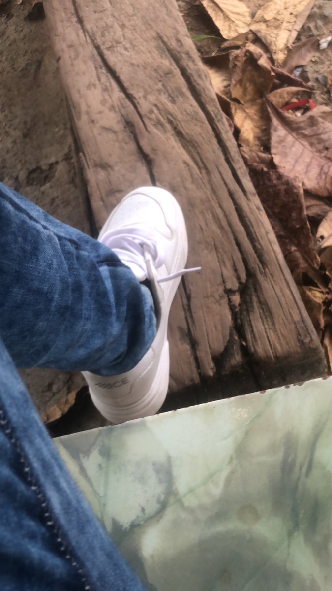 Toda história tem um começo, e esse será o meu.