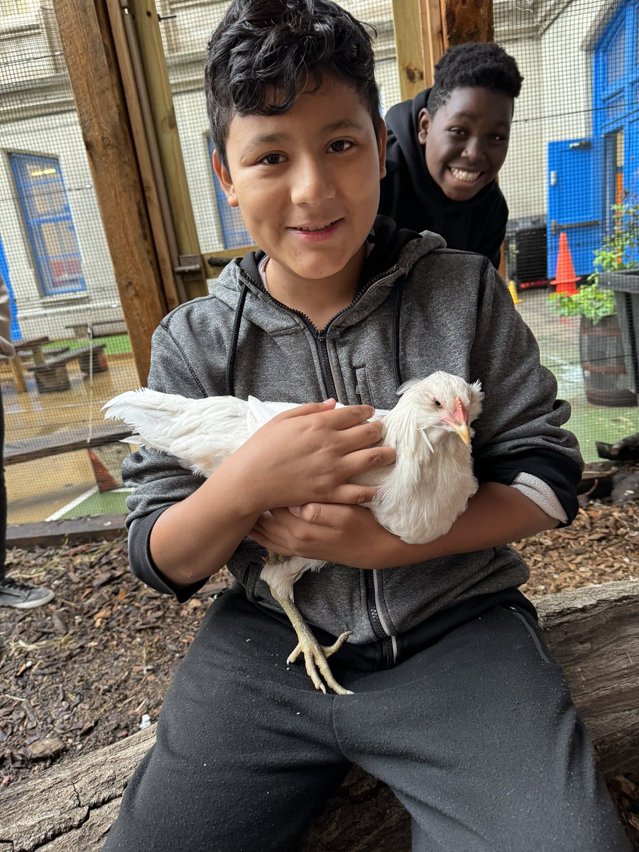 Magnet157's tweet photo. @MrFullerDOE @GrowNYC @NYCGreenThumb @District14Supt @NYCSD14 @NYCSchools https://t.co/Cg4zYxvjUq