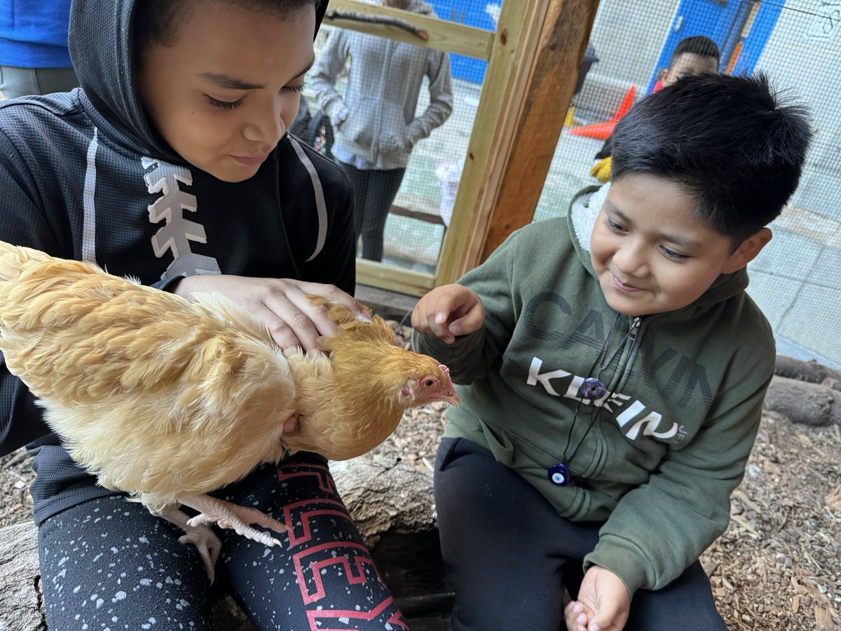 Magnet157's tweet photo. @MrFullerDOE @GrowNYC @NYCGreenThumb @District14Supt @NYCSD14 @NYCSchools https://t.co/Cg4zYxvjUq