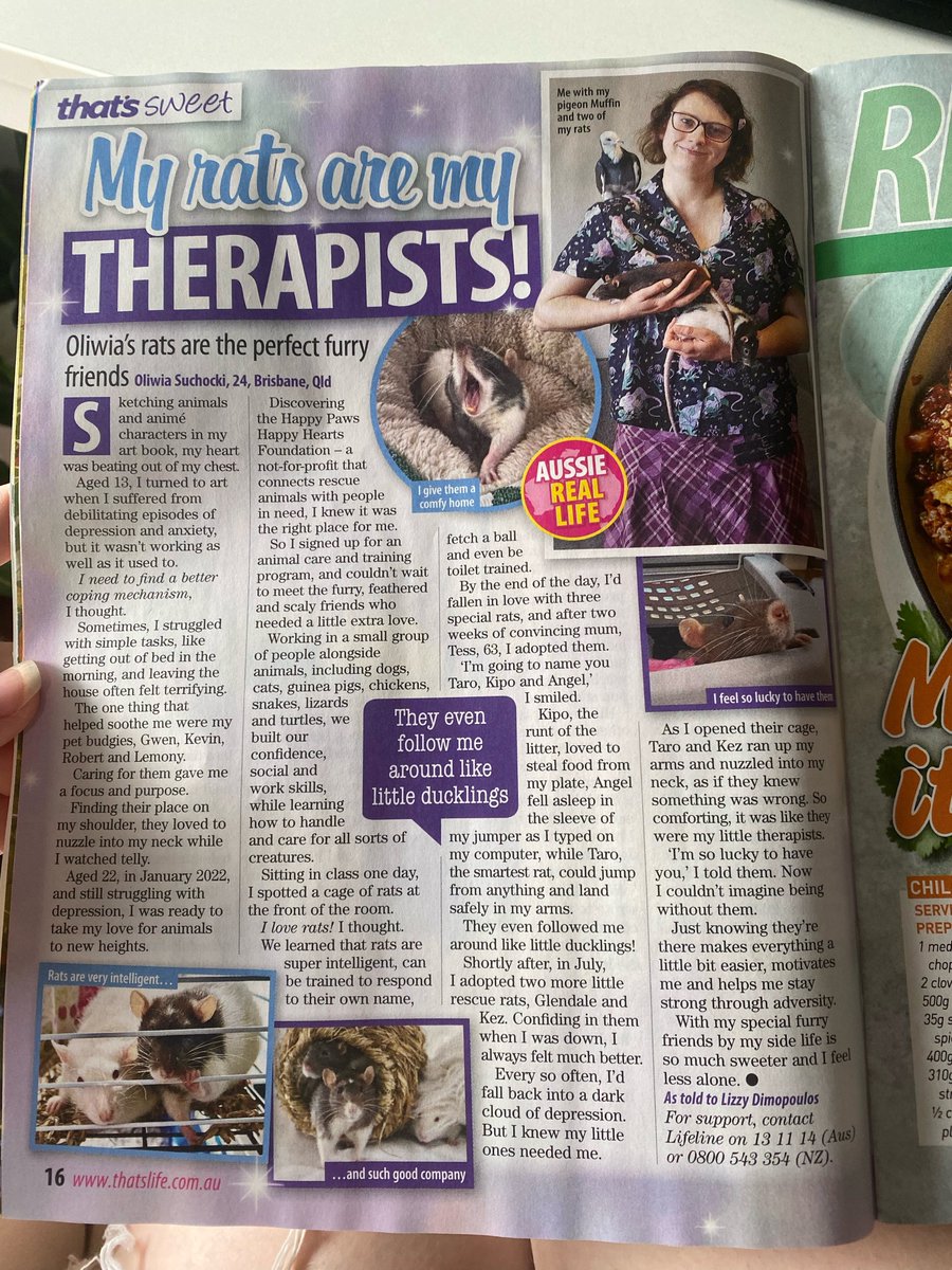 Happy Paws Happy Hearts | HPHH tweet media