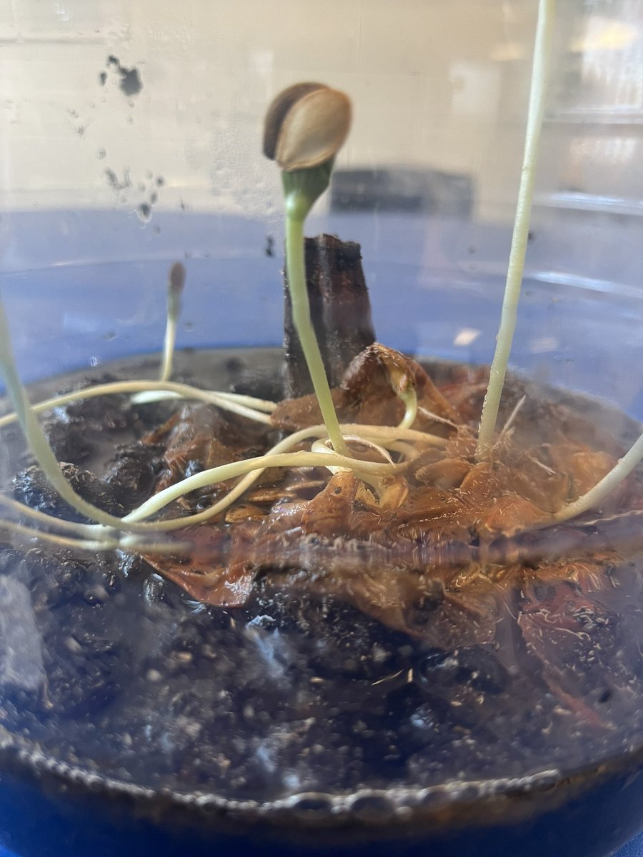 Rhonda Tough (She/Her) tweet media