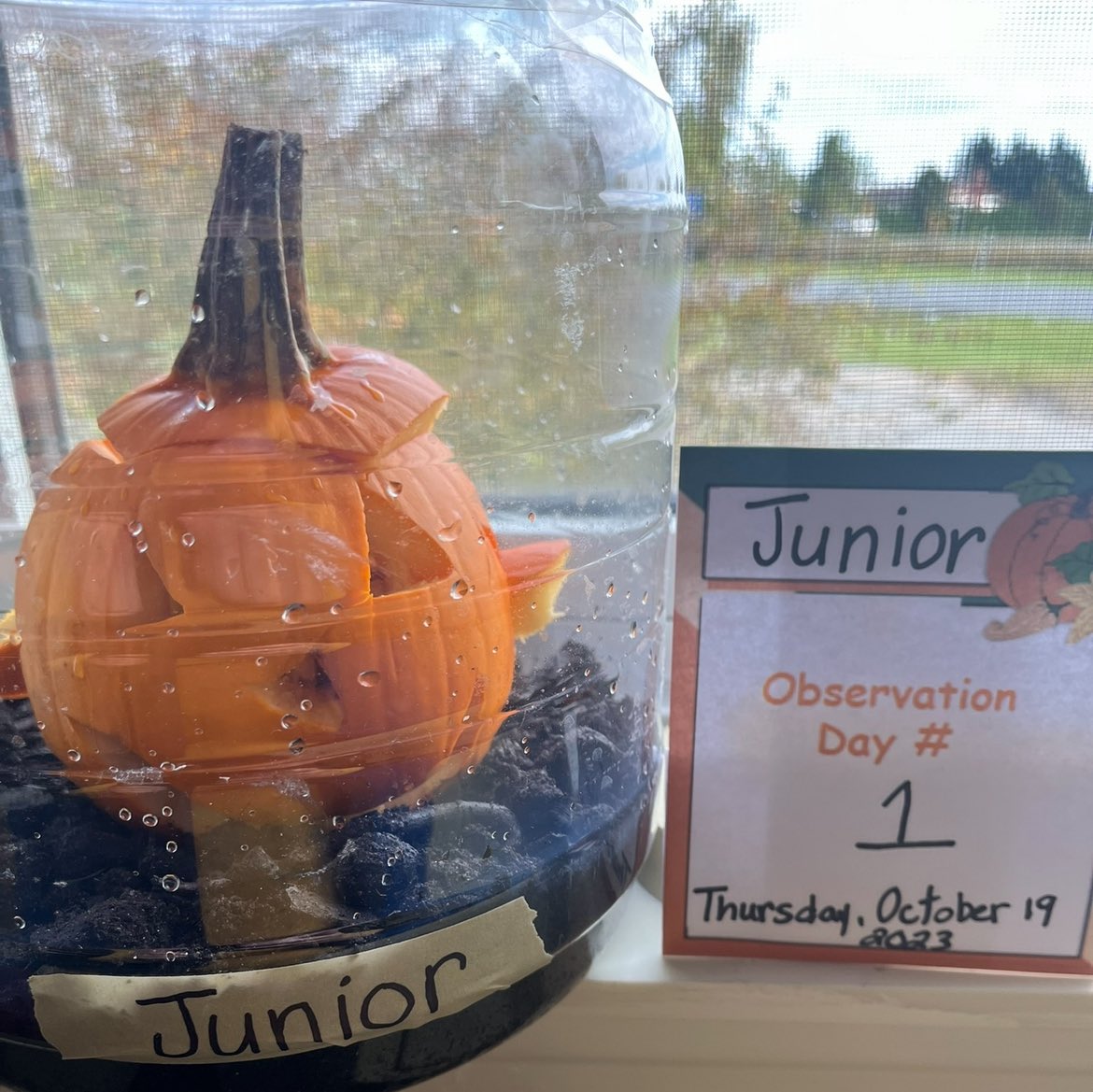 Rhonda Tough (She/Her) tweet media