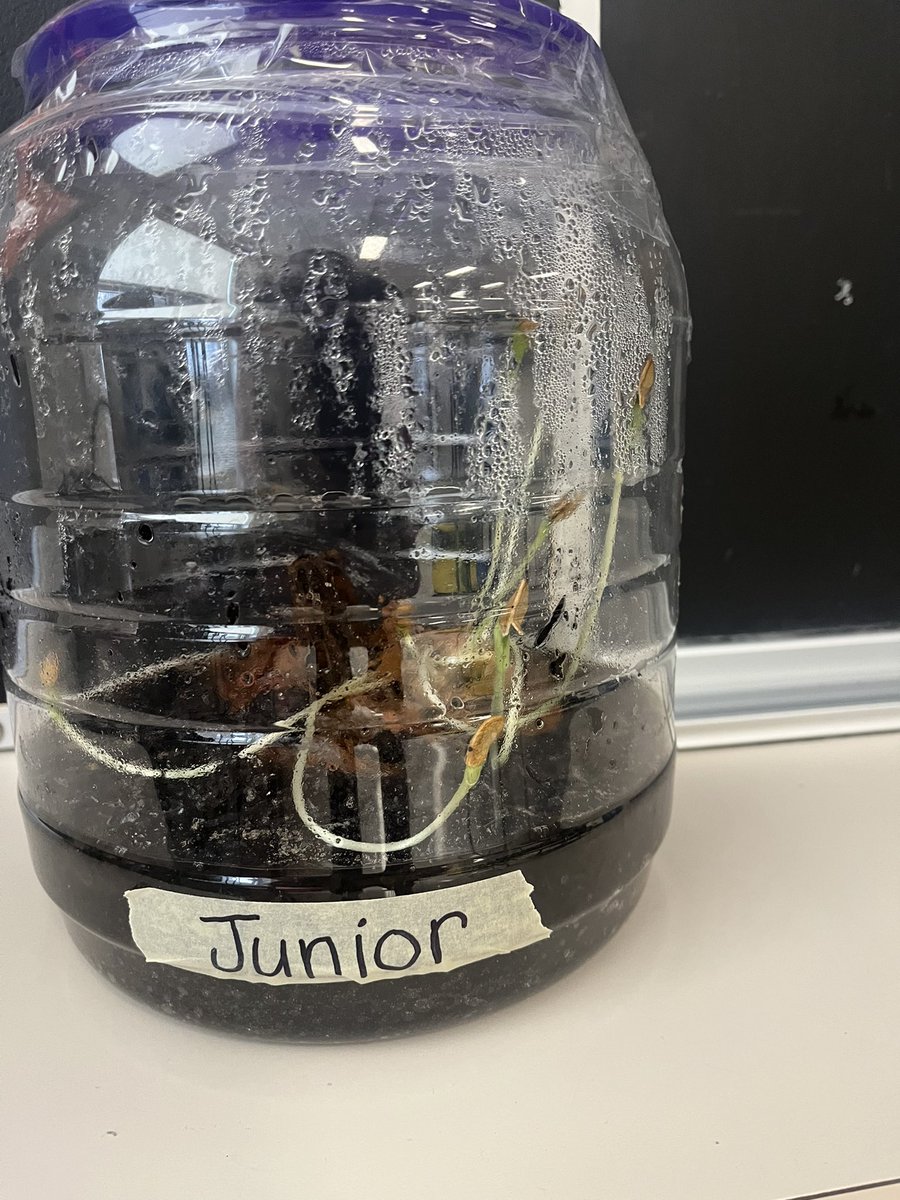 Rhonda Tough (She/Her) tweet media